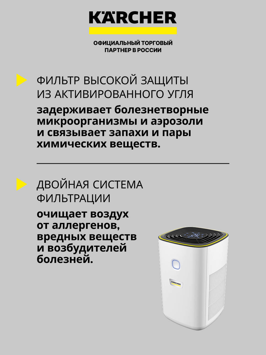 Воздухоочиститель Karcher AF 20 для дома и офиса 24Вт серебристый (1.024-820.0)